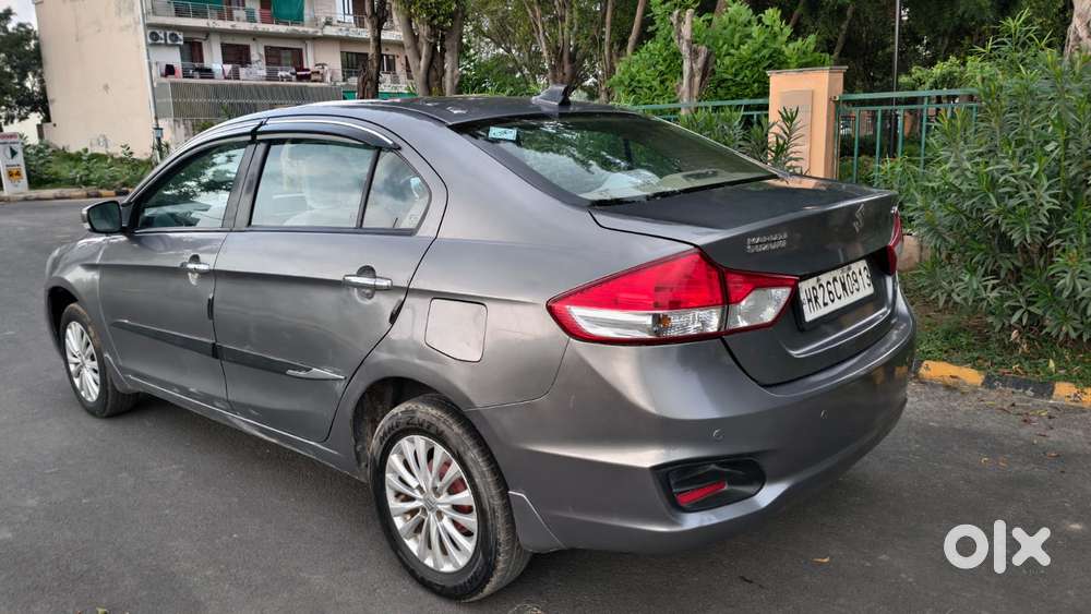 Maruti Suzuki Ciaz At Zxi Plus, 2015, Cng & Hybrids