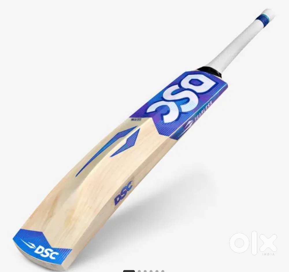 DSC cricket bat