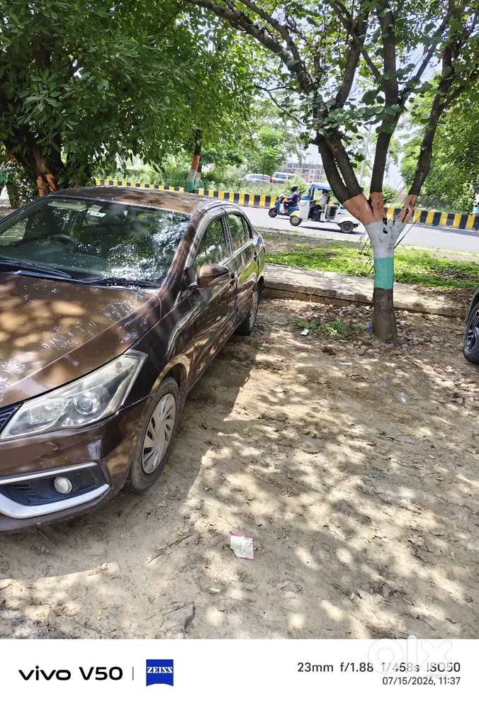 Maruti Suzuki Ciaz Vxi 2015 Model