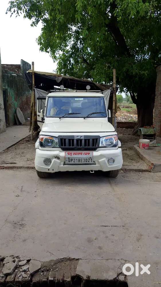 Full Original Hai New Tayer 95 Hai New Betey Hai