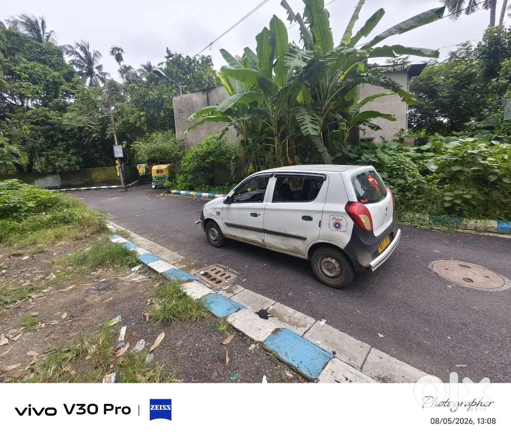 Maruti Suzuki Alto 2019 Car