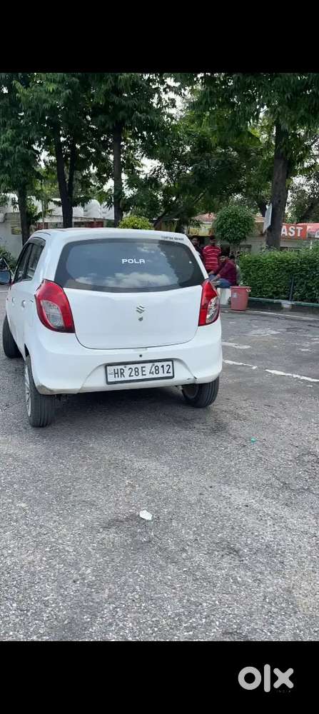 Alto 800 Brand New