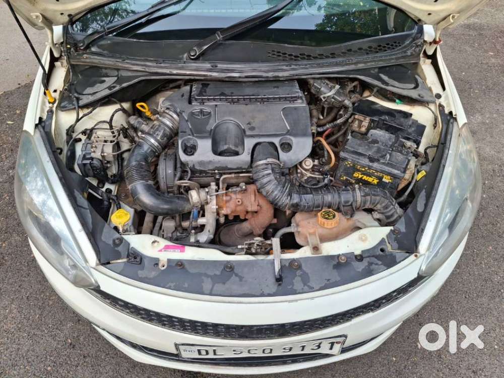 Tata Tiago, 2019