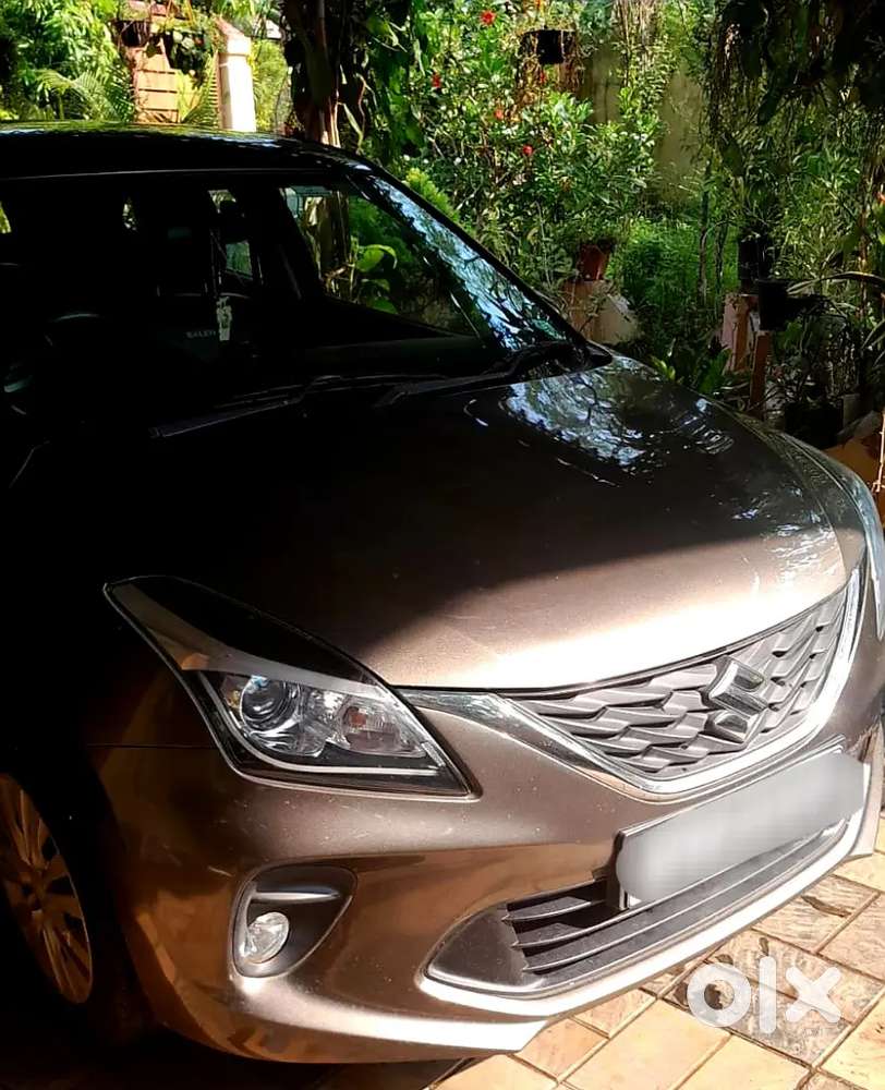 2019 Baleno Delta Variant