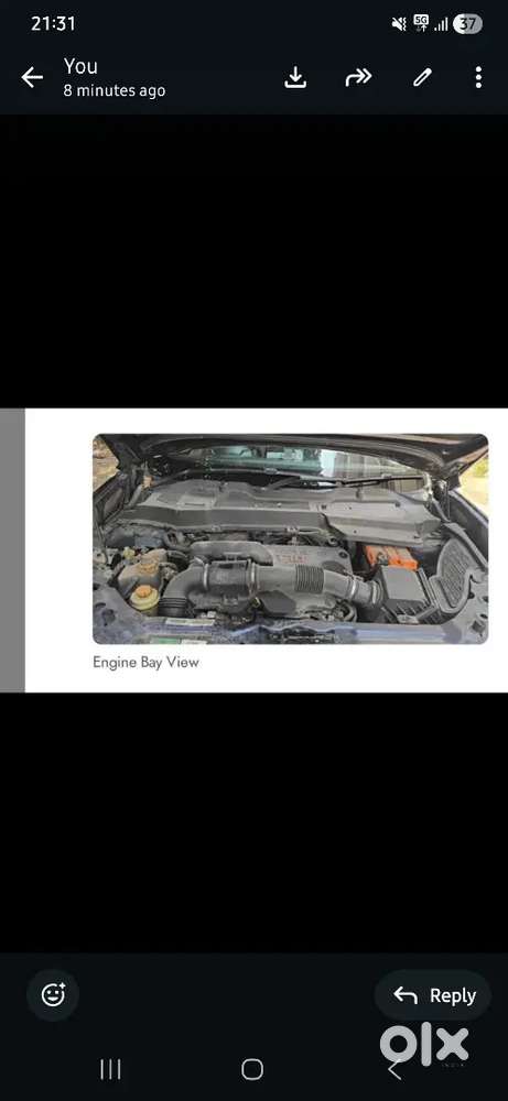 Tata Safari 2021 Diesel Well Maintained