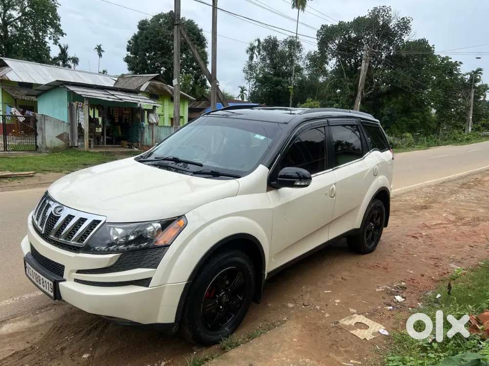 Xuv 500 White Coler