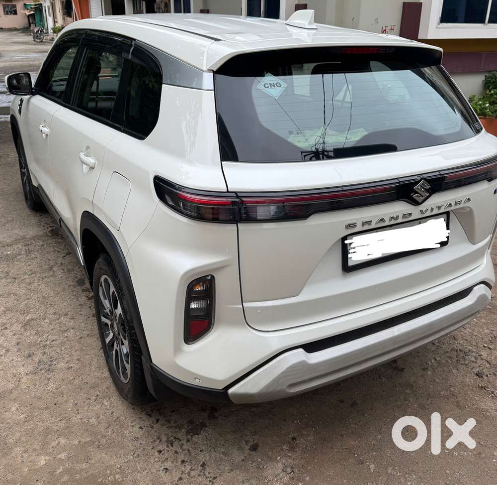 Maruti Suzuki Grand Vitara 2024 Cng & Hybrids 49000 Km Driven