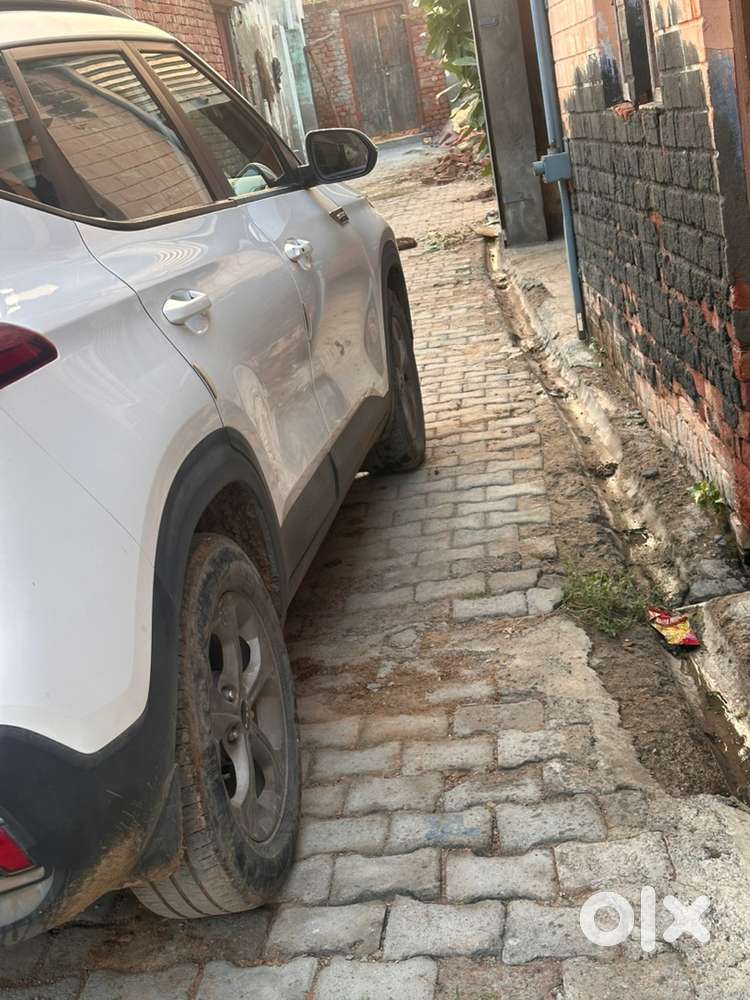 Kia Seltos 1.5 Petrol 2024