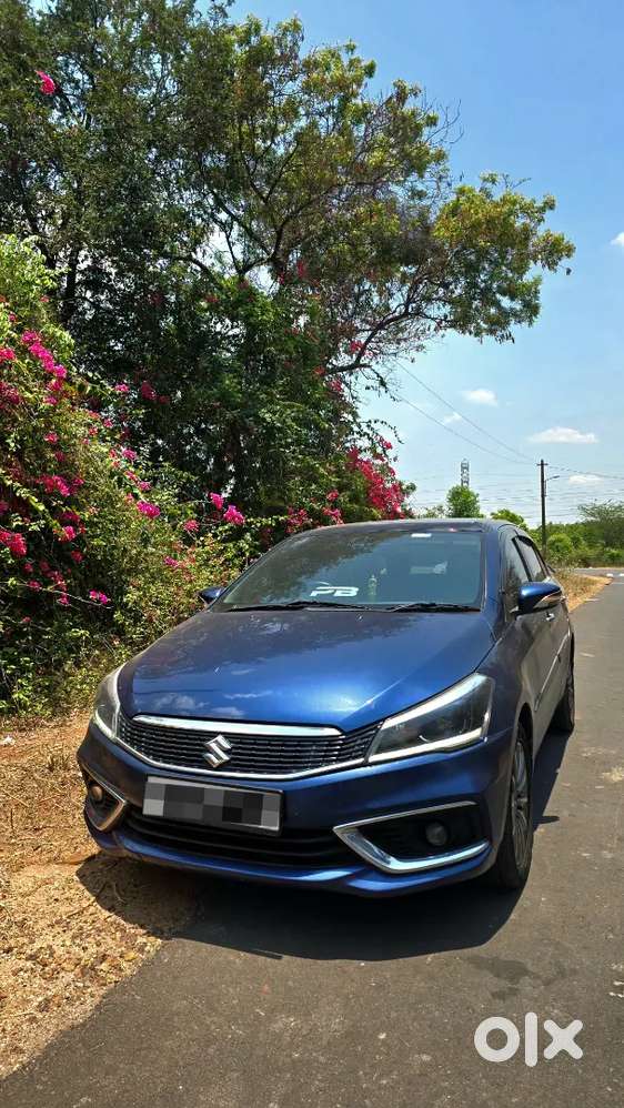 Maruti Suzuki Ciaz [alpha]