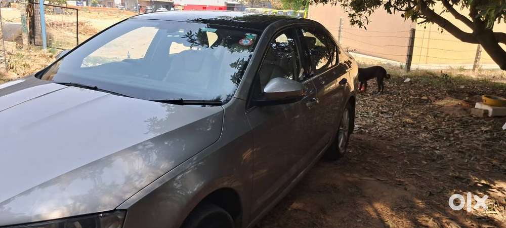 2015 Skoda Octavia 1.8 Tsi Style Plus Single Owner  Well Maintained