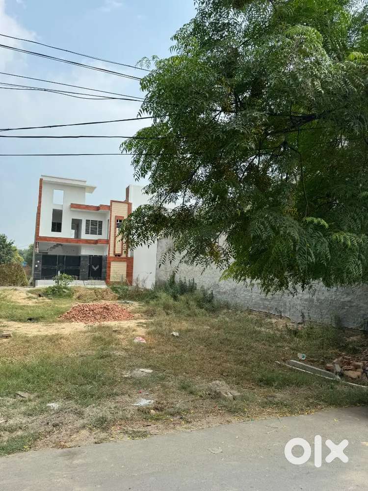175 Gaj kothi Bhai Matidas Nagar Bathinda 99154call99475