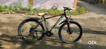 Frog 29er discount