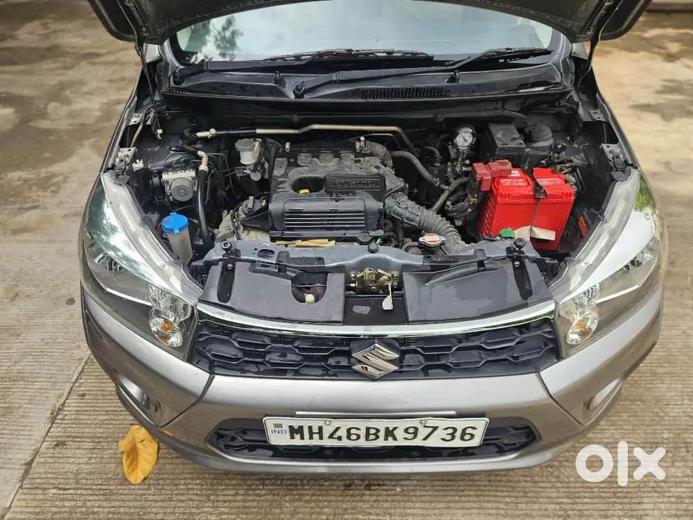 Maruti Suzuki Celerio 2019 Cng Hybrid