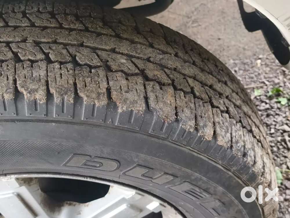 Xylo E8 M Eagle 2 Wd 8s Bs4