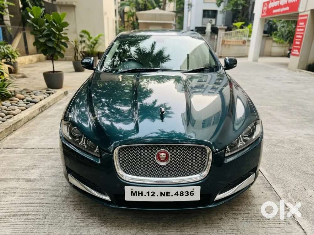 Jaguar King Of The Street