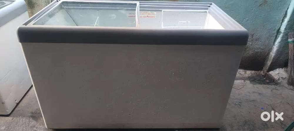 Western Freezer 450 ltrs