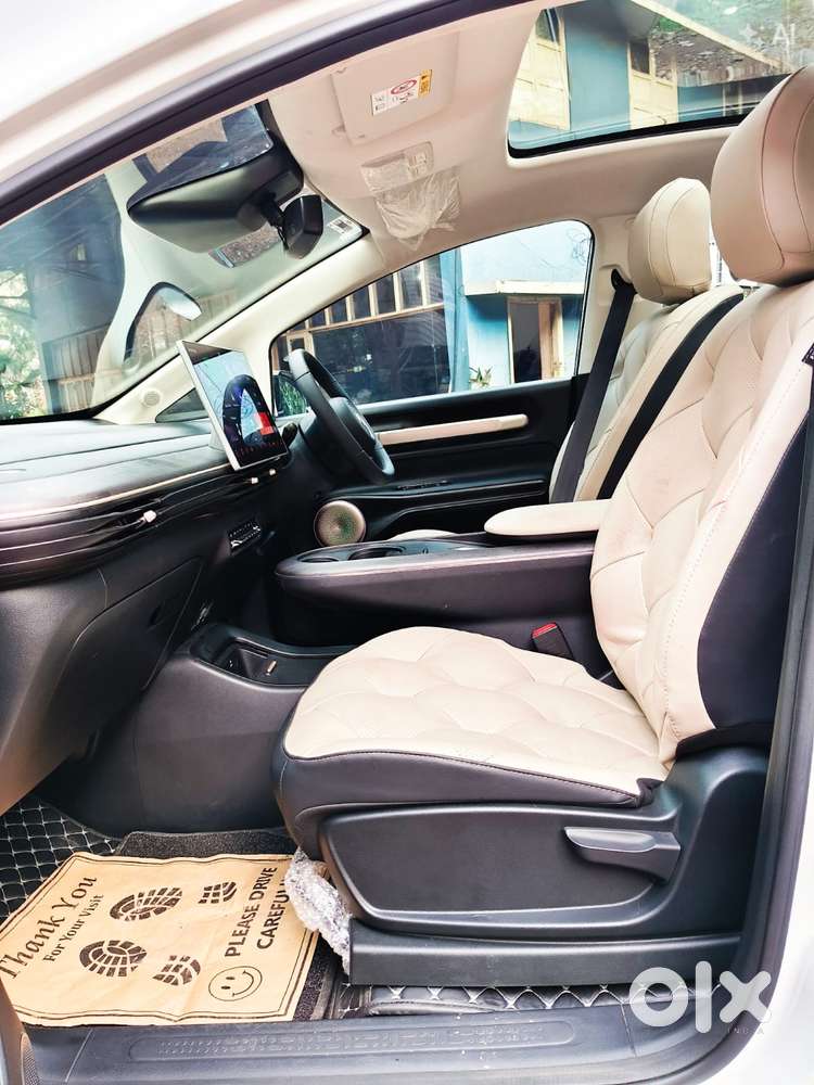 Mg Windsor Ev Essence, 2025, Electric