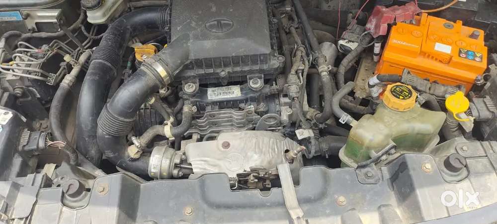 4.70lak If Anyone Interested Contact Me