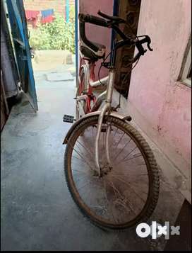 Olx on sale per cycle