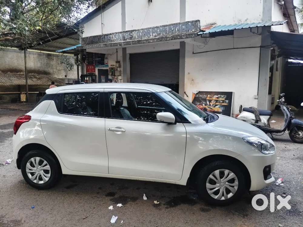 Swift 2024 (2 Year Old)