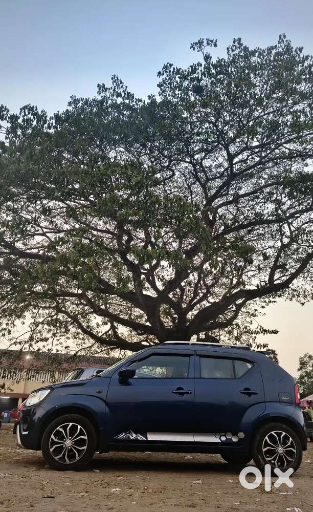 Maruti Suzuki Ignis 2021 Petrol 48500 Km Driven