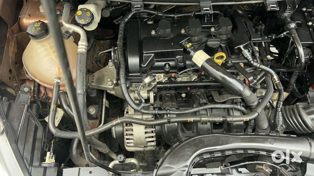Ford Freestyle Titanium Plus Petrol, 2021, Petrol