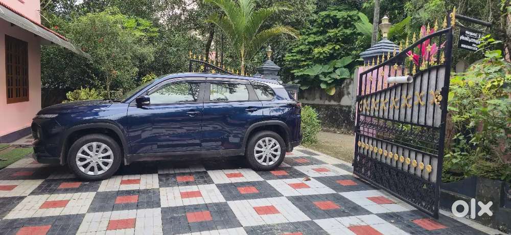 Maruti Suzuki Grand Vitara 2025 Petrol 3000 Km Driven