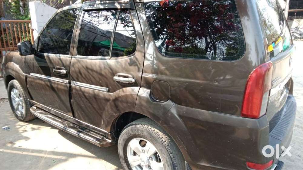 Brand New Tata Sarafi Strome