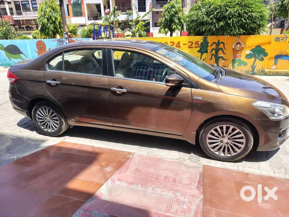 Maruti Suzuki Ciaz 2014-2017 Zdi Plus Shvs, 2016, Diesel