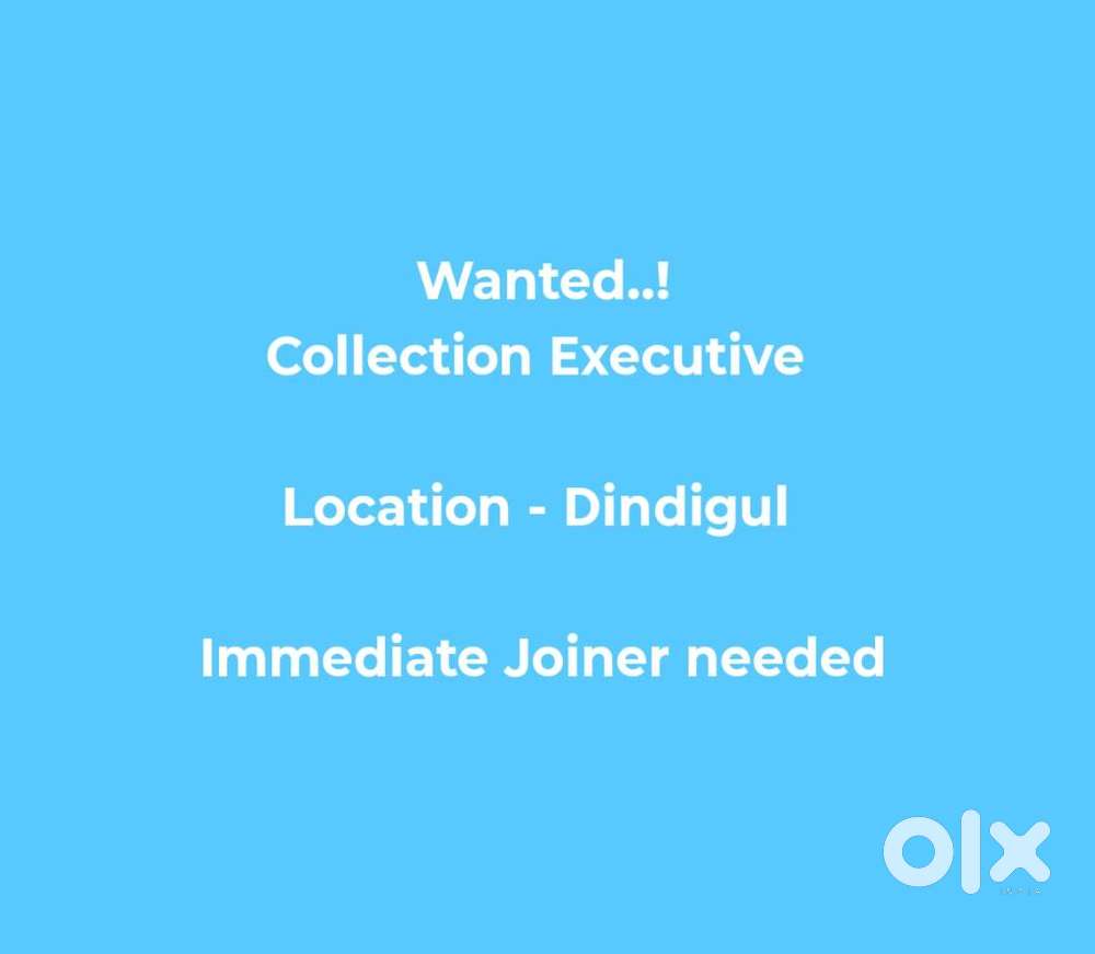 Collection Executive