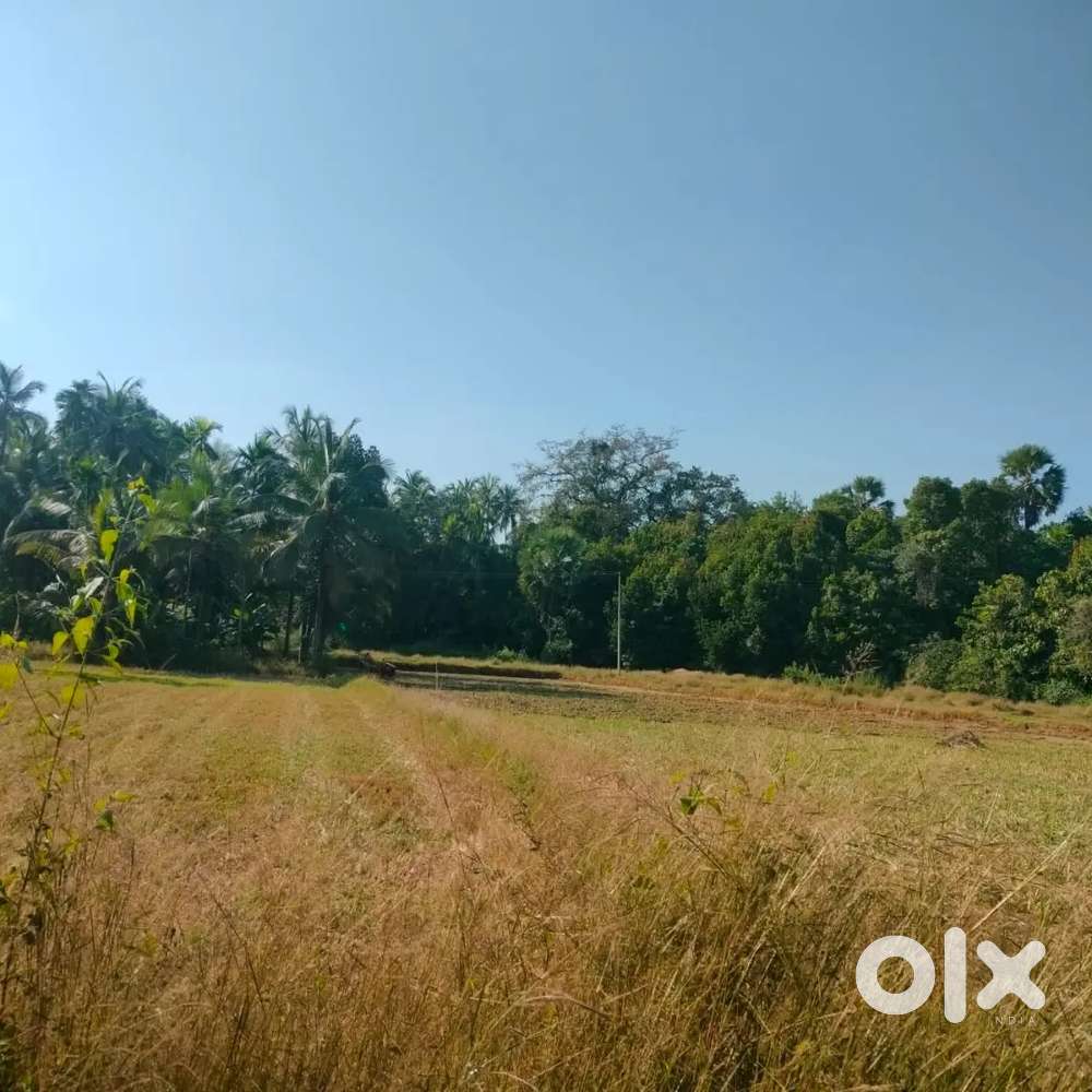 7Acre Agricultural Land for sale at Kinnigoli. Lands & Plots 1753513329