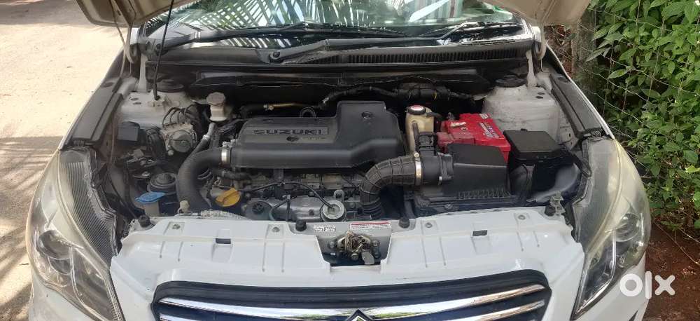 Maruti Suzuki Ciaz 2013 Diesel Well Maintained