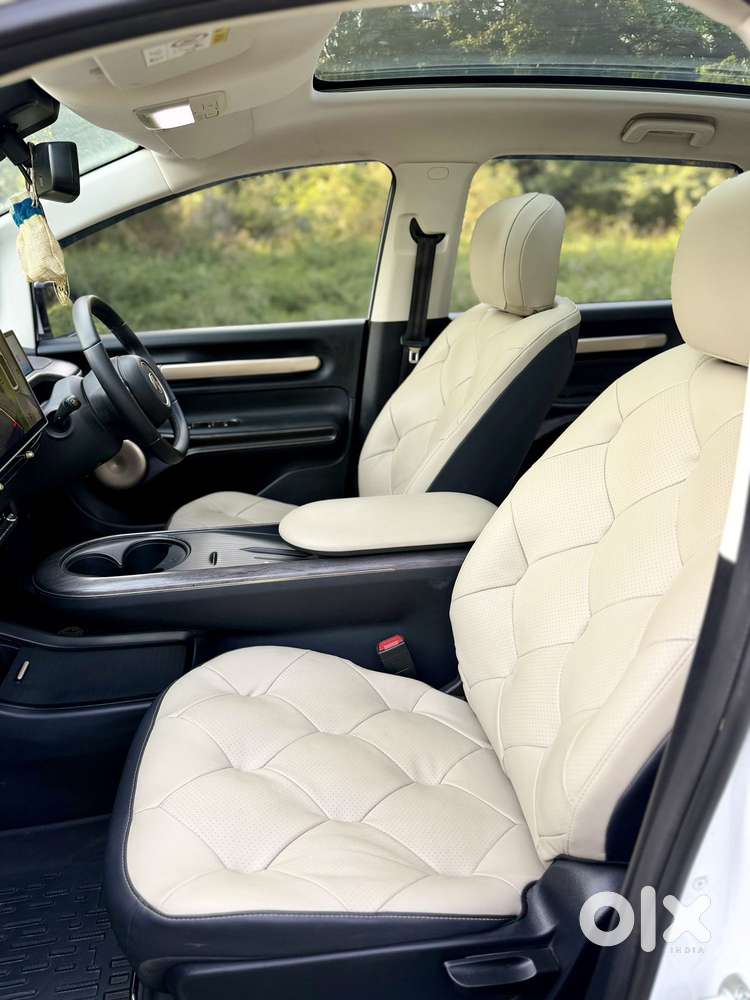 Mg Windsor Ev Essence Pro, 2025, Electric