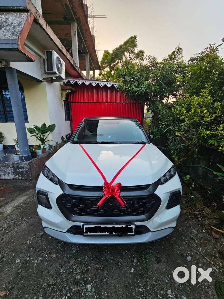 I Have Brought A New Scorpio N