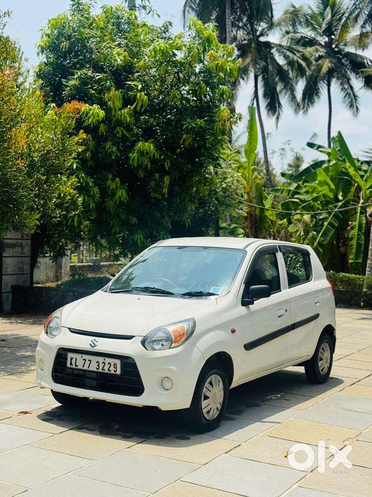Alto 800 2019