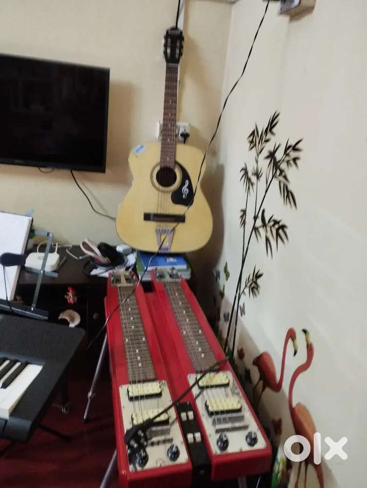 Hawaian guiter teacher