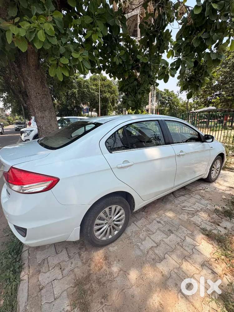 Maruti Suzuki Ciaz 2016 Diesel 123226 Km Driven