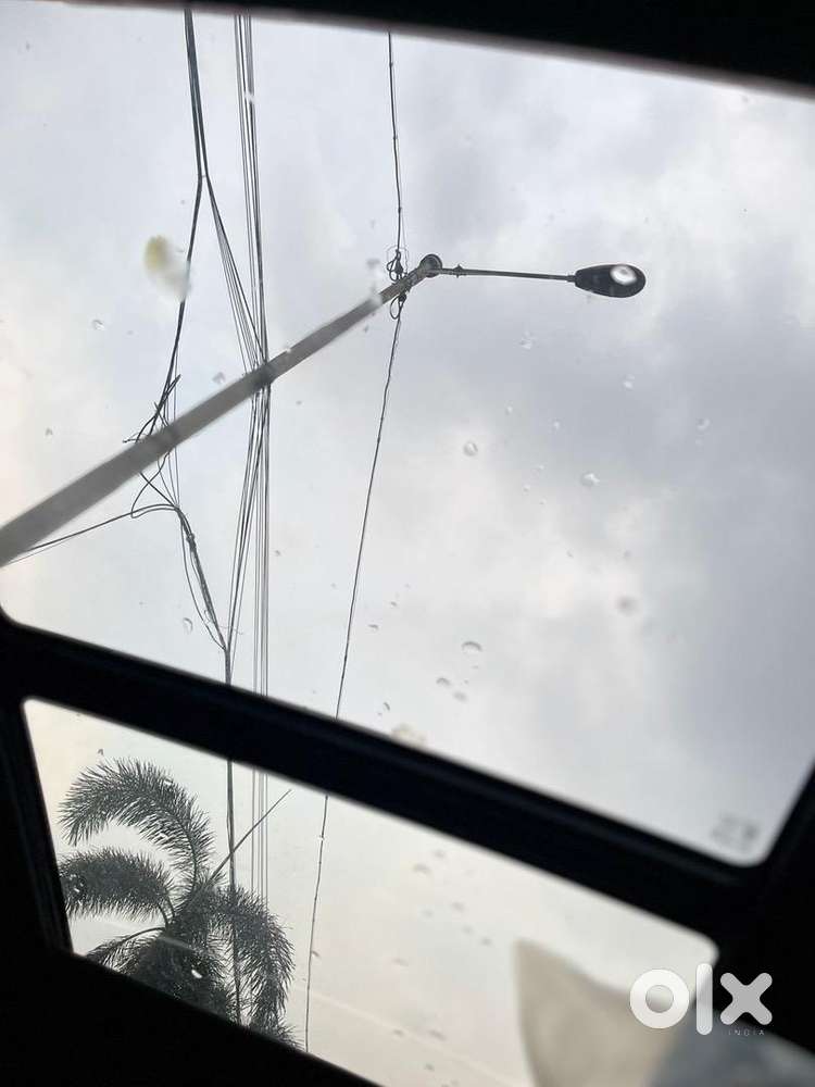 Kia Seltos 2025 Petrol 15000 Km Driven