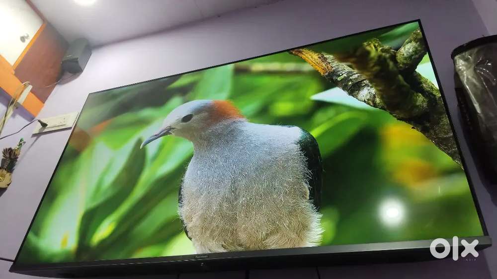 Panasonic tv 4k 55inch