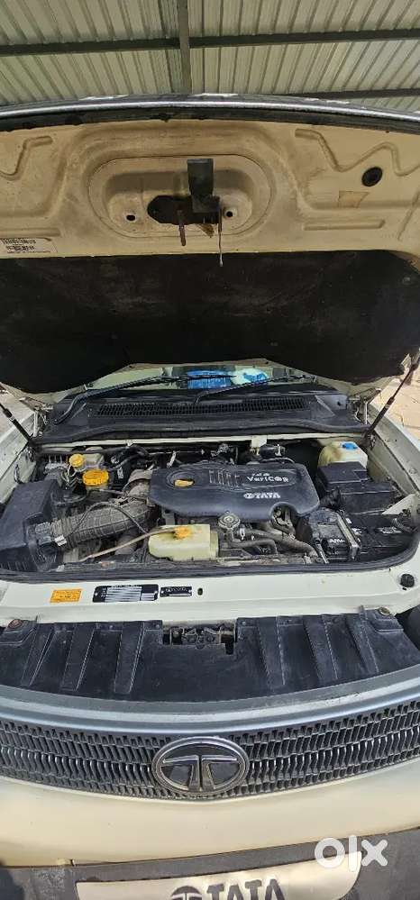 Safafi Storme In Excellent Condition