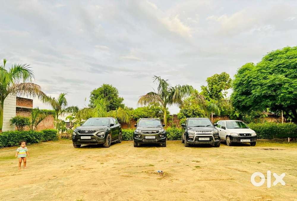 Less Driven Top Model Harrier Camouflage Edition