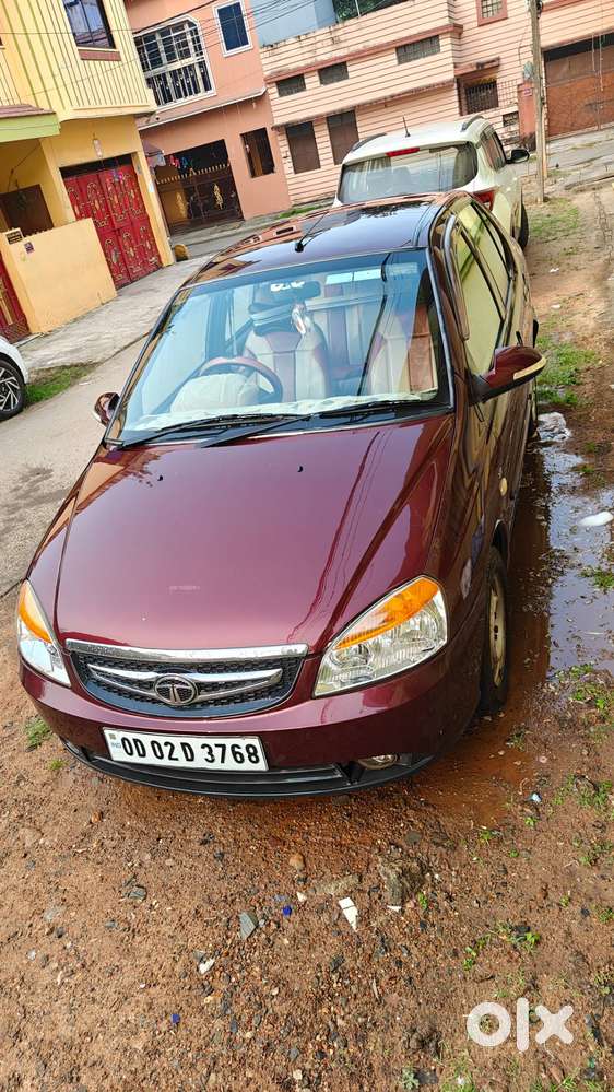 Indigo Ecs Colour Marun
