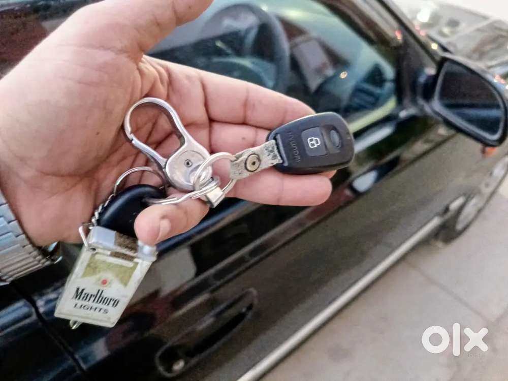 Accent Executive 2011 Single Hand
