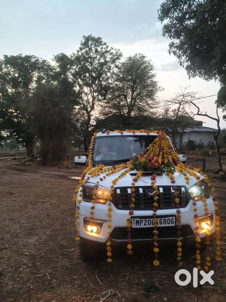 Scorpio S4 Convert To S11 All New Tyar Orginal Vecial Is All Ok