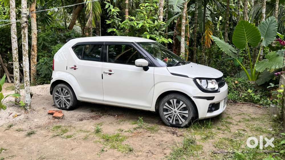 Maruti Suzuki Ignis 2019