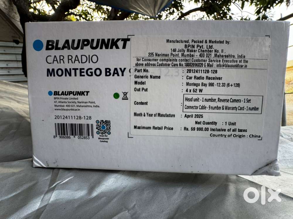 Blaupunkt 12.33 Inch Android Screen