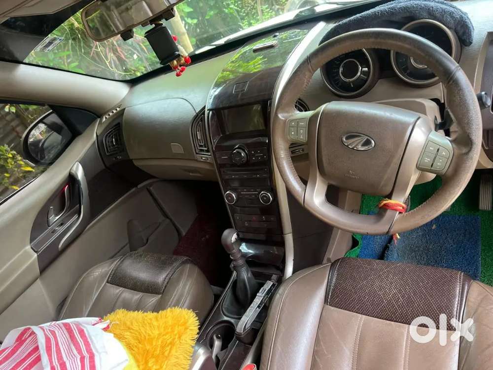 Xuv 500 White Coler