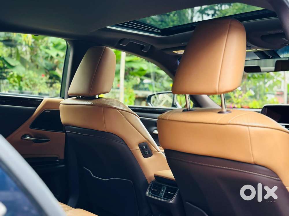 Lexus Es 300h Luxury, 2020, Petrol