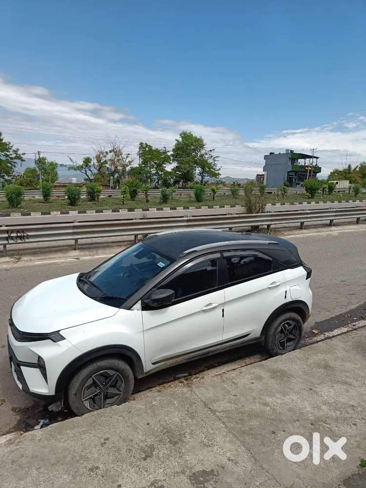 Tata Nexon 2024 Petrol Well Maintained