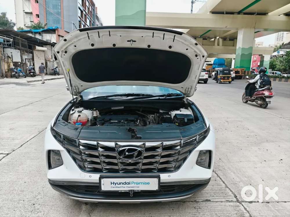 Hyundai Tucson 2.0 Platinum Petrol At, 2024, Petrol